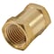 Forney Hose Coupling, 1/4 in FNPT 75532 - alternate 1
